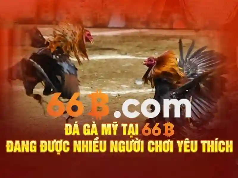 tải 66b – Giới thiệu đầy sáng tạo