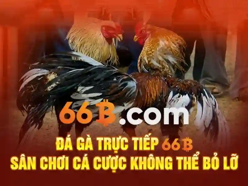 66b apk – Giới thiệu độc đáo về một nền tảng APK