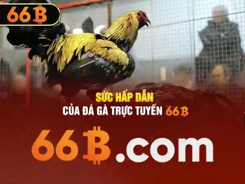 66b thưởng đăng ký – Khám phá trải nghiệm và giá trị đích thực