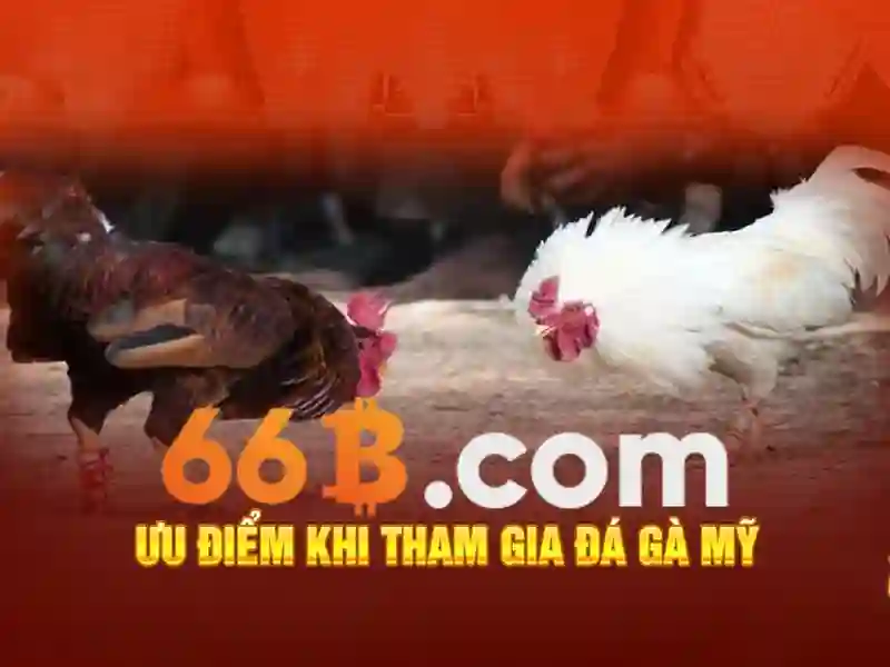 Nguồn gốc và ý nghĩa của 66b