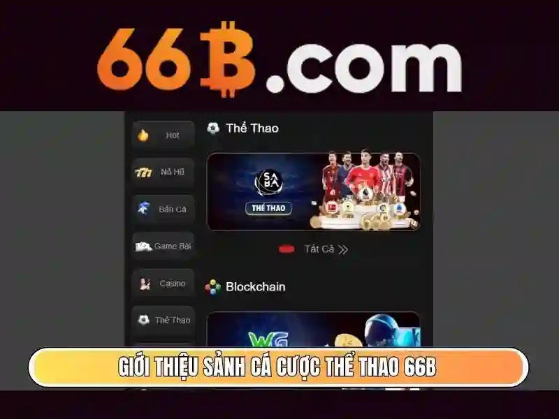66B là gì và vì sao nó quan trọng