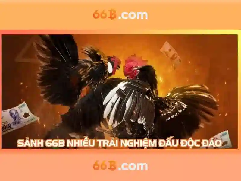 66 tỷ tham số: Khám phá mô hình ngôn ngữ 66B