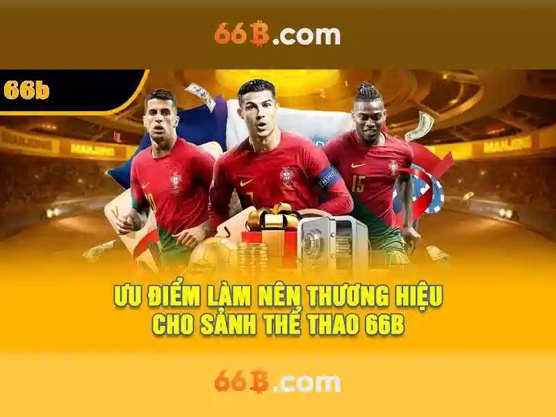 66b stgb – Tổng quan chủ đề và giá trị cốt lõi