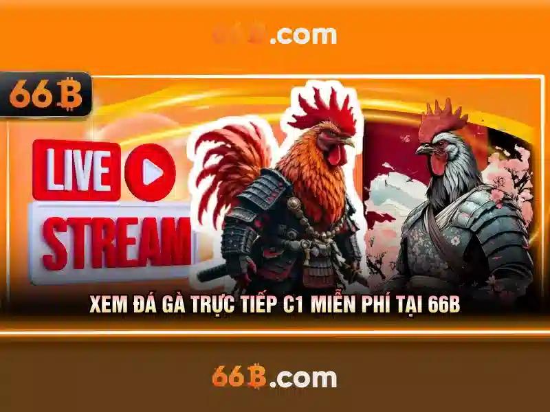 Qua trinh dao tao va tai tao