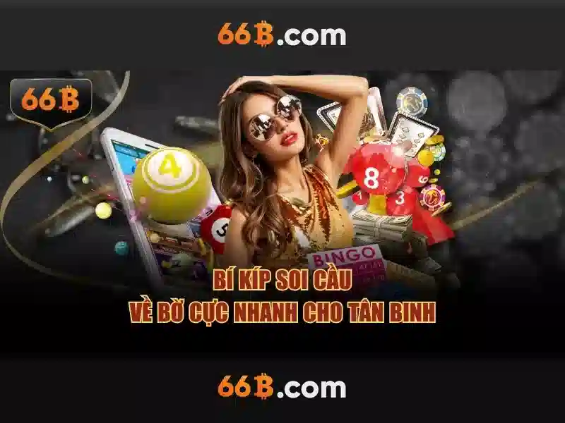 Kiến trúc của 66B: điều khiển và khối cơ bản