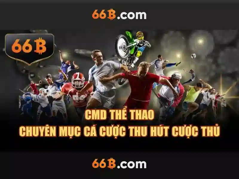 66b nguyễn si sách: hành trình thương hiệu và trải nghiệm