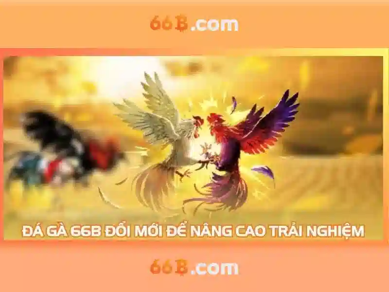 Ứng dụng thực tế của 66B