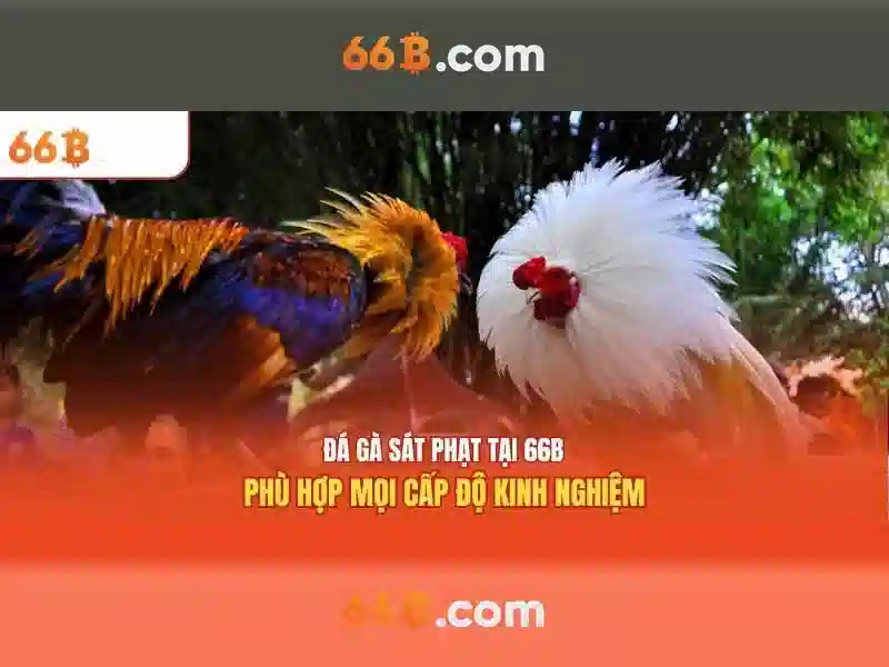 Về 66B: Mô hình ngôn ngữ lớn 66 tỷ tham số