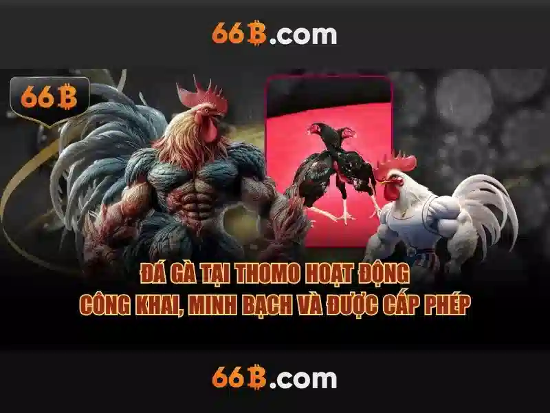 Kiến trúc và tính năng