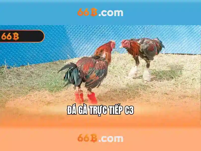 Con đường phát triển của 66b