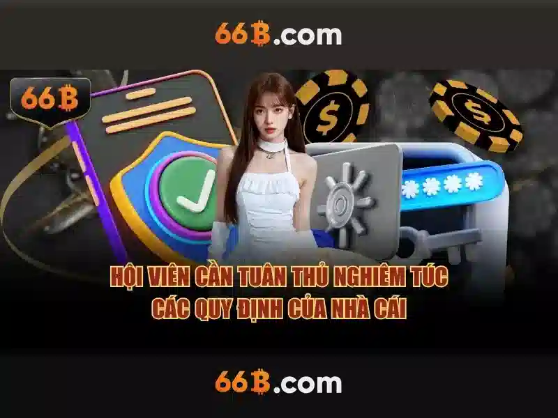 66B là gì và tại sao lại quan trọng<p><span style=