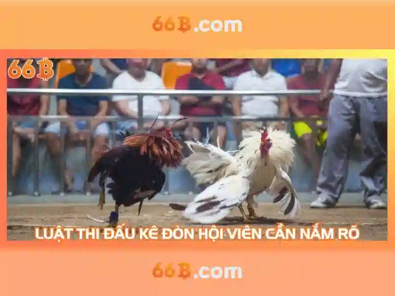 Kiến trúc và kích thước