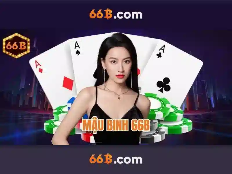 66b stgb – Tổng quan chủ đề và giá trị cốt lõi