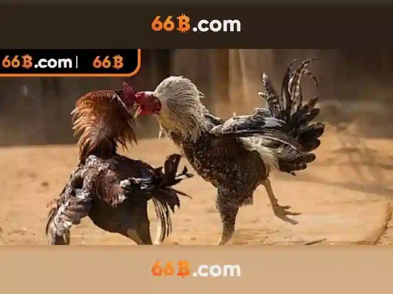 66b trong tính toán và mã hóa