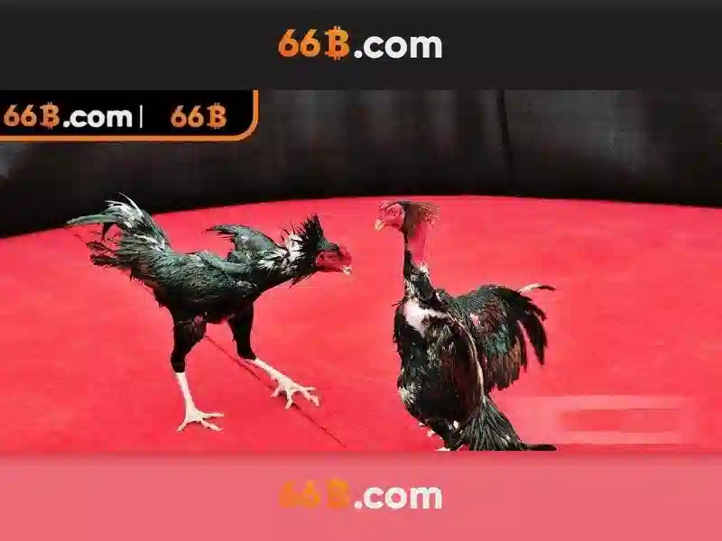 Nguồn gốc và ý nghĩa của 66b