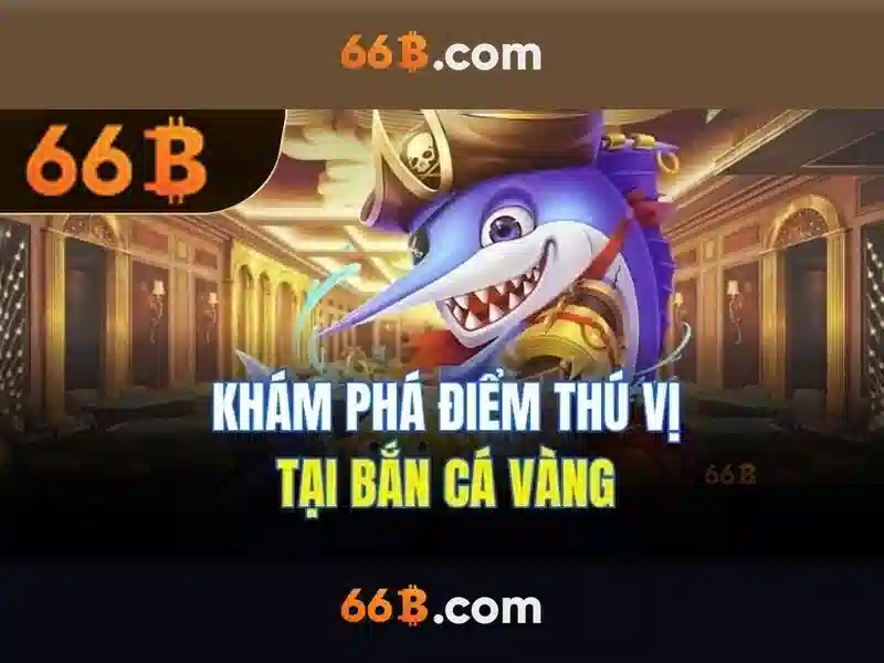 66B là gì?
