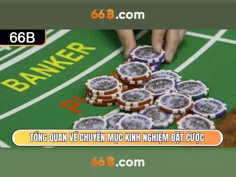 Khả năng ứng dụng
