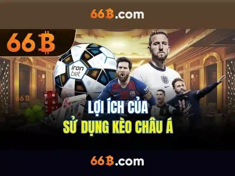 66b là gì và vai trò của nó trong thế giới số