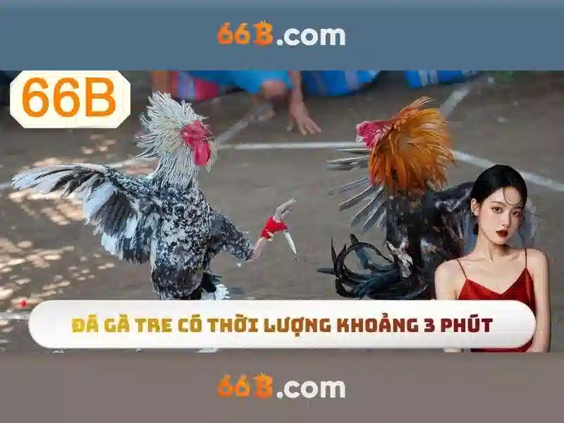 66b và thách thức cũng như cơ hội\n\n<h>Kết luận về 66b</h>\n<p><span style=