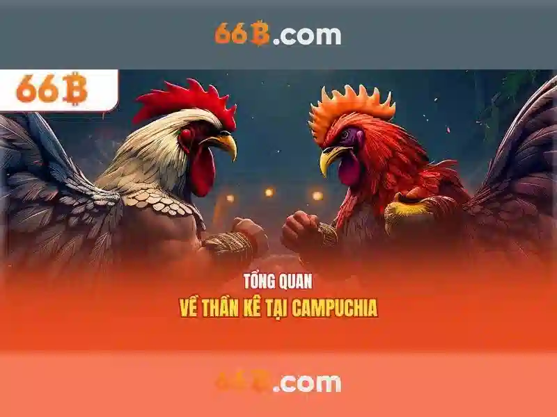 Thách thức khi làm việc với mô hình 66b