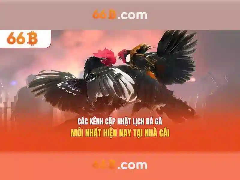 66B: Khám phá mô hình ngôn ngữ 66 tỷ tham số