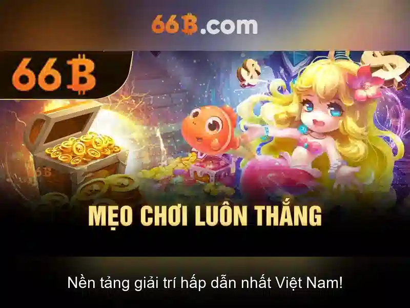 66b: Khái niệm, cấu trúc và ứng dụng