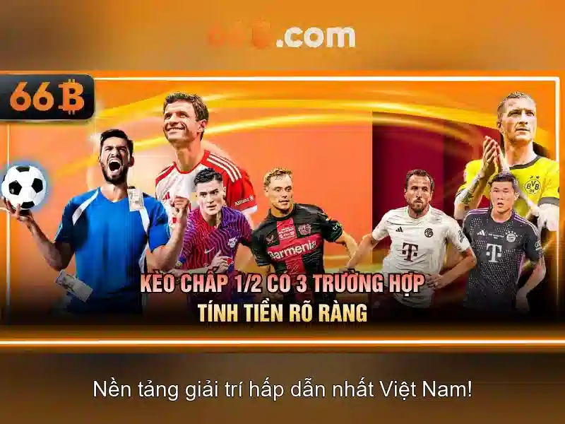 66b: một cái nhìn tổng quan về mô hình 66b