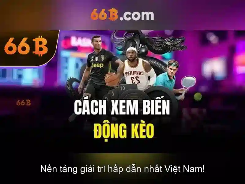 Phân tích chi tiết