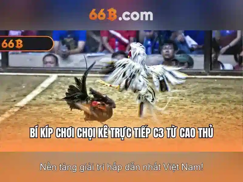 66b: Khám phá nền tảng và ứng dụng