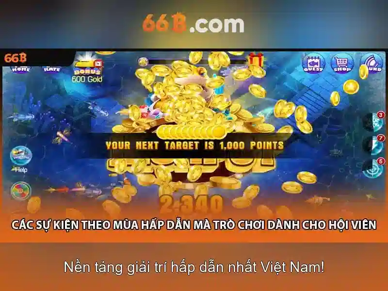 Giới thiệu về 66B