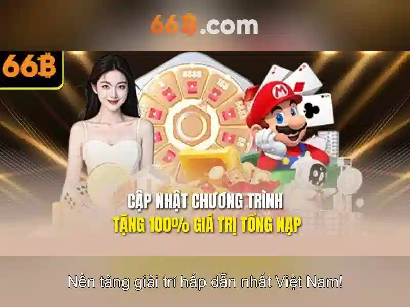 66B là gì?