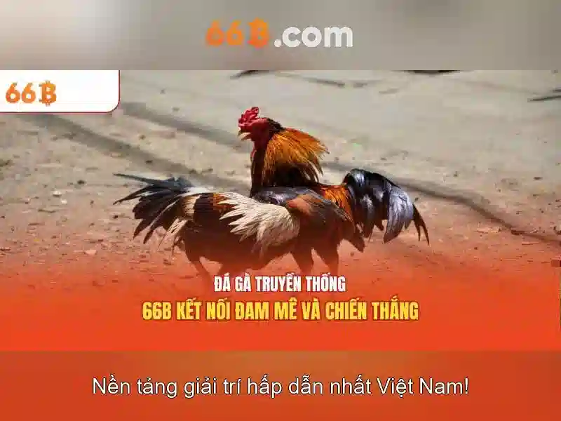 Lợi thế và năng lực cạnh tranh