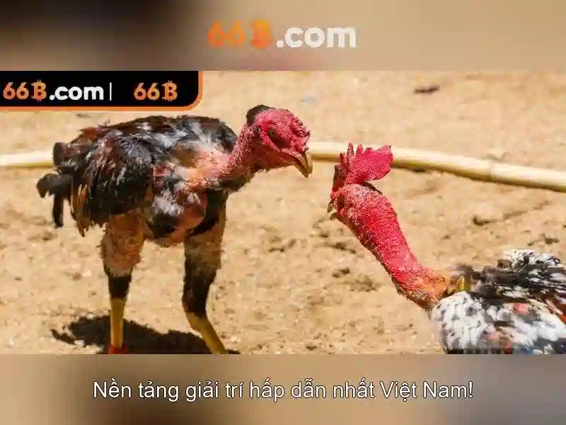 rút thưởng 66b: chiến lược trải nghiệm và đánh giá 66b