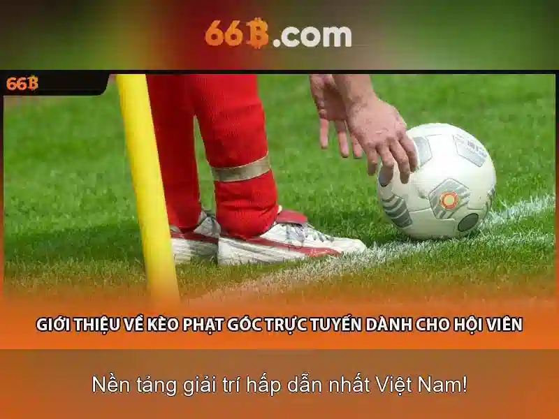 Tính năng nổi bật và ứng dụng