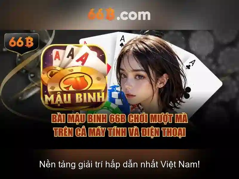66B: Khái niệm, đặc điểm và tác động
