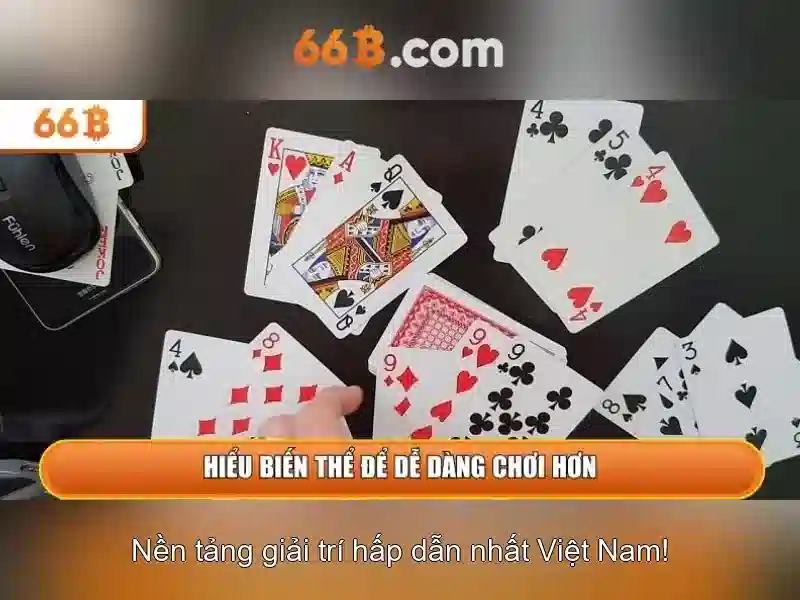 '66b hạ long – ứng dụng và thị trường tại địa phương'
