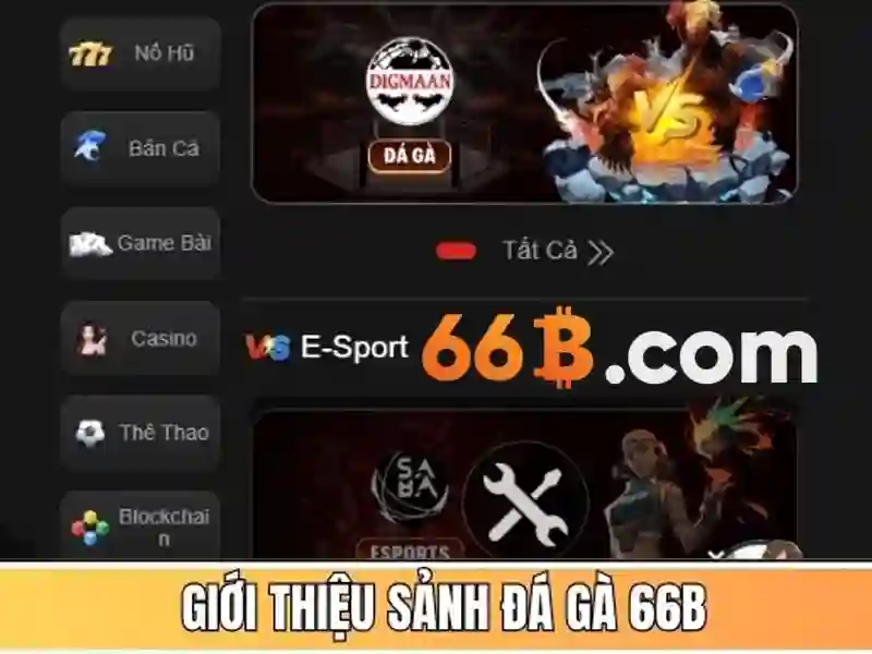 slot 66b – Tổng quan chủ đề và giá trị cốt lõi