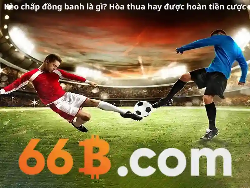 Lịch sử và ý nghĩa của 66b