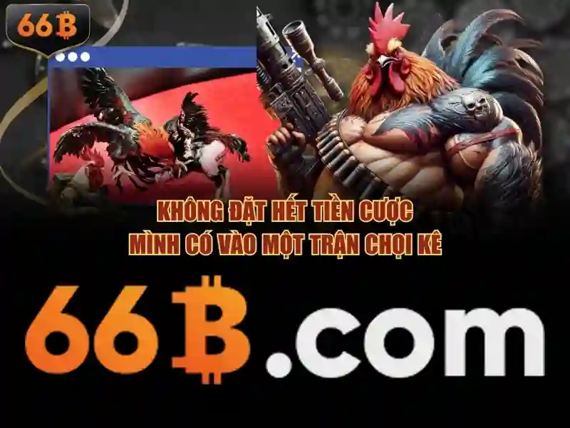 66b bet – Tổng quan chủ đề và giá trị cốt lõi