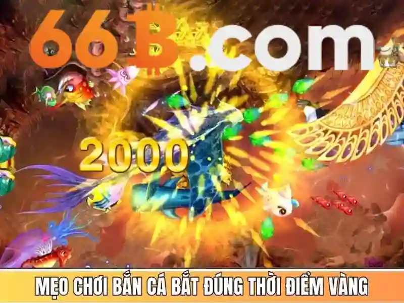 66b free chip: Nền tảng đột phá và trải nghiệm người dùng