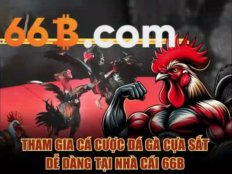 66b: một khái niệm trong công nghệ số