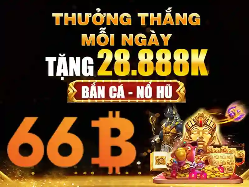Phản hồi người dùng