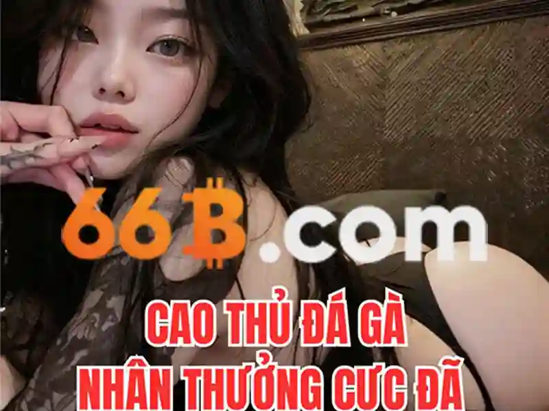Khái niệm và quy mô 66B