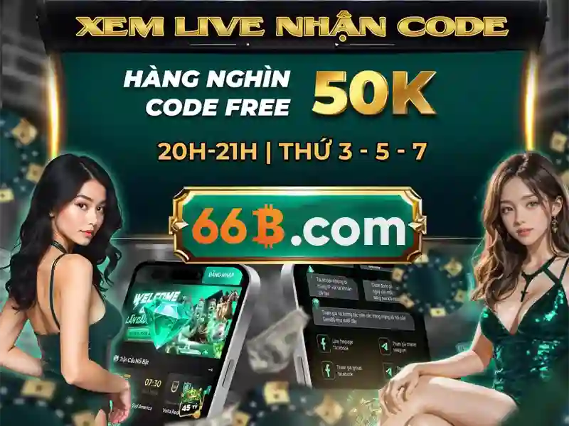 66b: Định nghĩa và bối cảnh